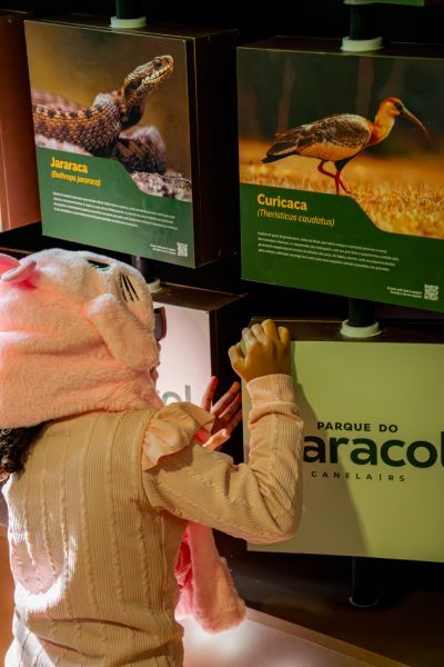 foto carrossel ingressos criança