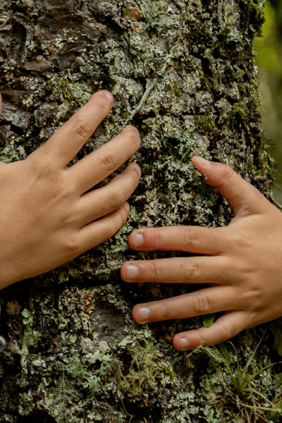 carrossel mão abraço na árvore