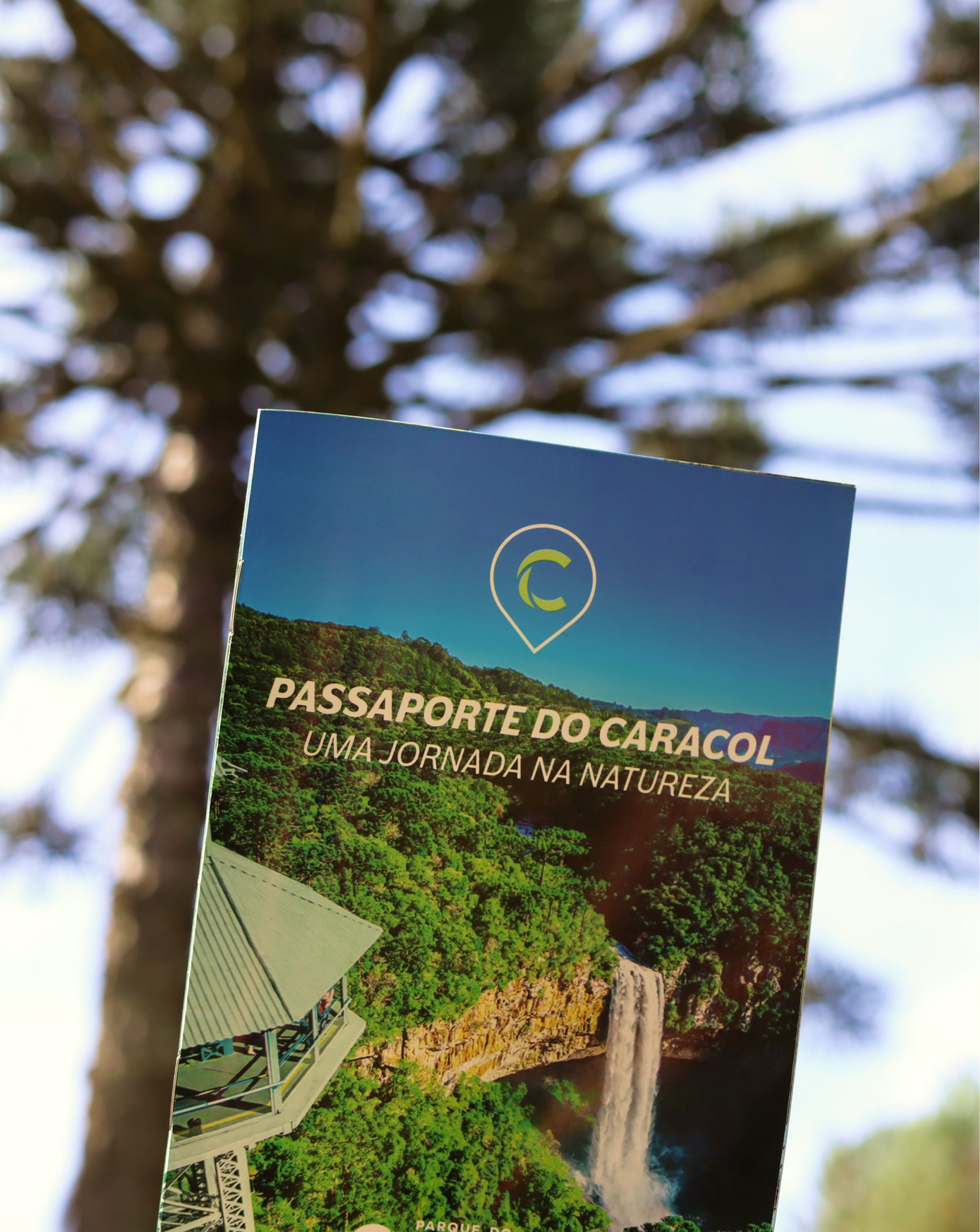 passaporte caracol